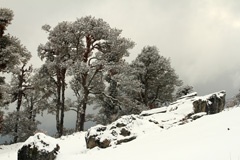 IMG_3165a